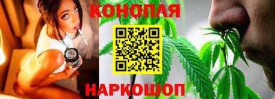 Альфа ПВП Новозыбков