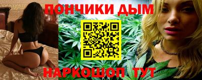 прущие крисы Новодвинск